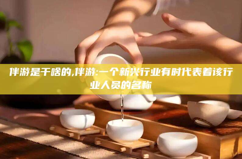 喀什伴游是干啥的,伴游:一个新兴行业有时代表着该行业人员的名称